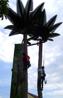 Foto der Kletterpalme auf dem B&uuml;rgerfest
