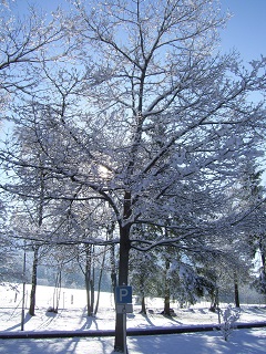 Foto vom Winter 2015/2016
